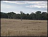 146_4629.jpg