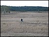 146_4630.jpg