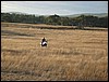 146_4636.jpg