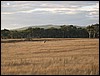 146_4638.jpg